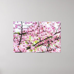 Impressão Em Tela Árvore de Sakura em plena floração rosa na primave