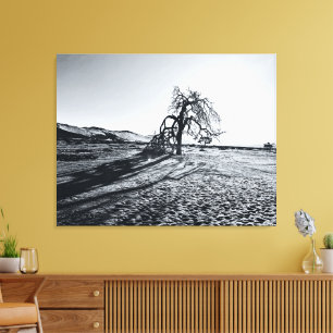 Impressão Em Tela Árvore do Deserto do Namib+B