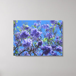 Impressão Em Tela Árvore do Jacaranda