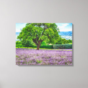 Impressão Em Tela Árvore em Campo de Lavanda, França