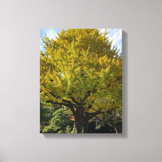 Impressão Em Tela Árvore Ginkgo de Amarelo Ouro (Frente)