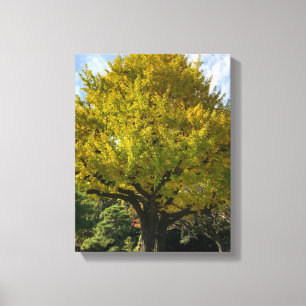 Impressão Em Tela Árvore Ginkgo de Ouro Amarelo