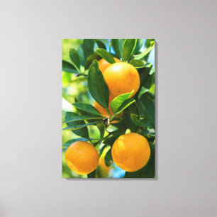 Impressão Em Tela Árvore laranja frutífera