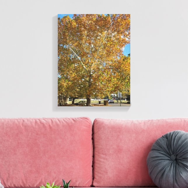 Impressão Em Tela Árvore na hora dourada (Insitu(Sala de estar))