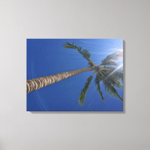 Impressão Em Tela Árvore Palm Majestosa com Tela de Raios Sun Imprim