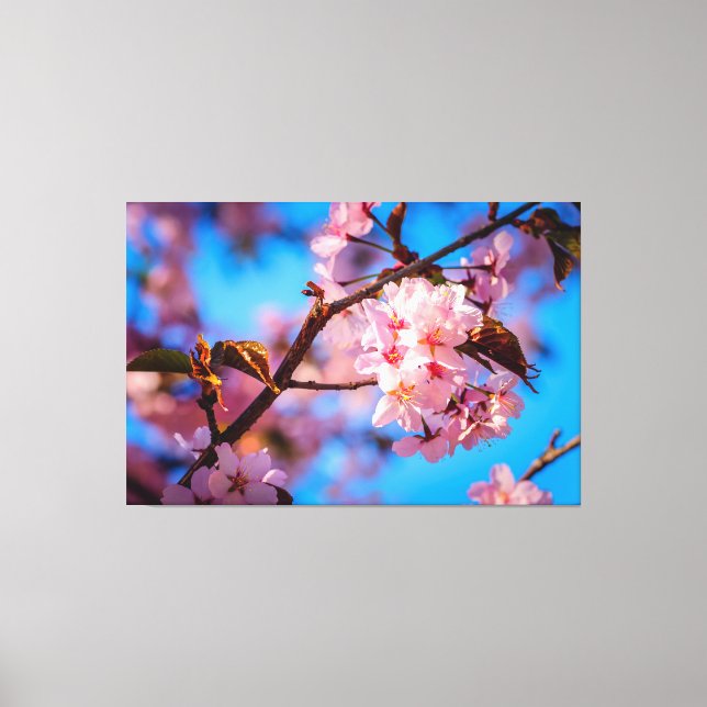 Impressão Em Tela Árvore Sakura em Florada Rosa (Frente)