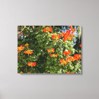 Árvore tropical | Flores de laranja