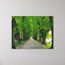 Impressão Em Tela Árvores