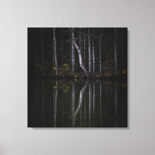 Impressão Em Tela Árvores brancas refletindo no lago