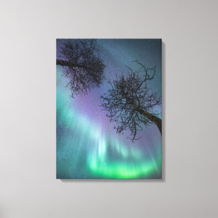 Impressão Em Tela Árvores das luzes do norte