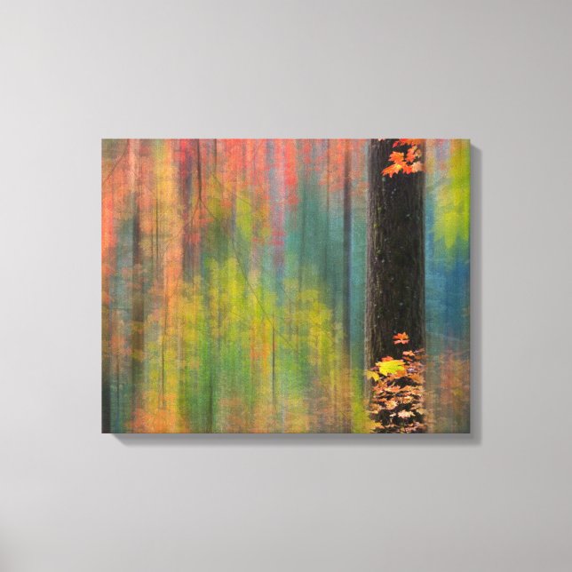 Impressão Em Tela Árvores de Mapeamento | Silver Falls State Park (Frente)