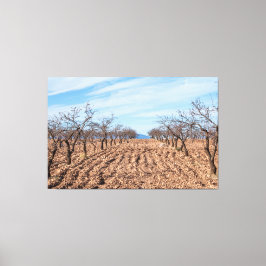 Impressão Em Tela Árvores do Deserto