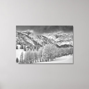 Impressão Em Tela Árvores Evergreens e Aspen em tempestade de neve