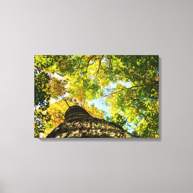 Impressão Em Tela Árvores Naturais Verde e Amarelo (Frente)