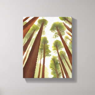 Impressão Em Tela Árvores Redwood   Aquarela do Parque Nacional Redw