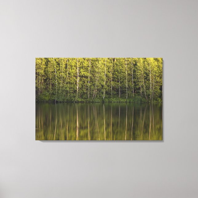 Impressão Em Tela Árvores Refletidas Na Água (Frente)