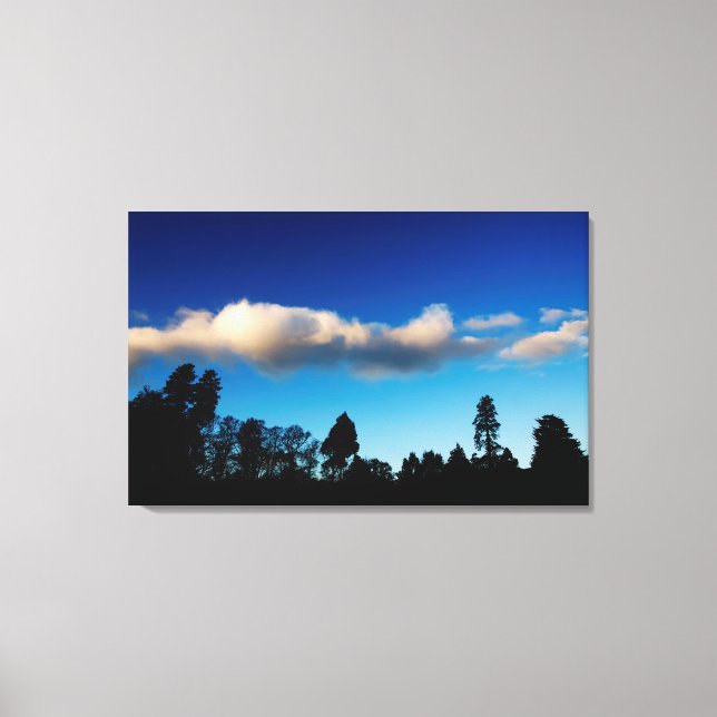 Impressão Em Tela Árvores Silhuetadas ao anoitecer (Frente)