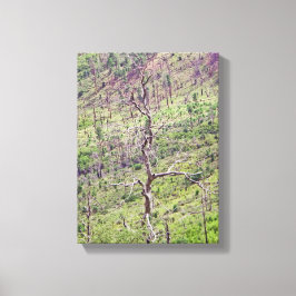 Impressão Em Tela árvores vitalícias e mortais no vale