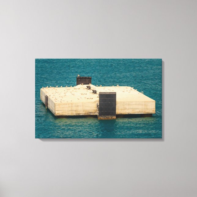 Impressão Em Tela as gaivotas na tela estendida (Frente)