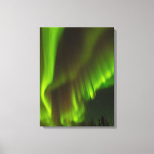 Impressão Em Tela As Luzes do Norte Fairbanks, Alasca