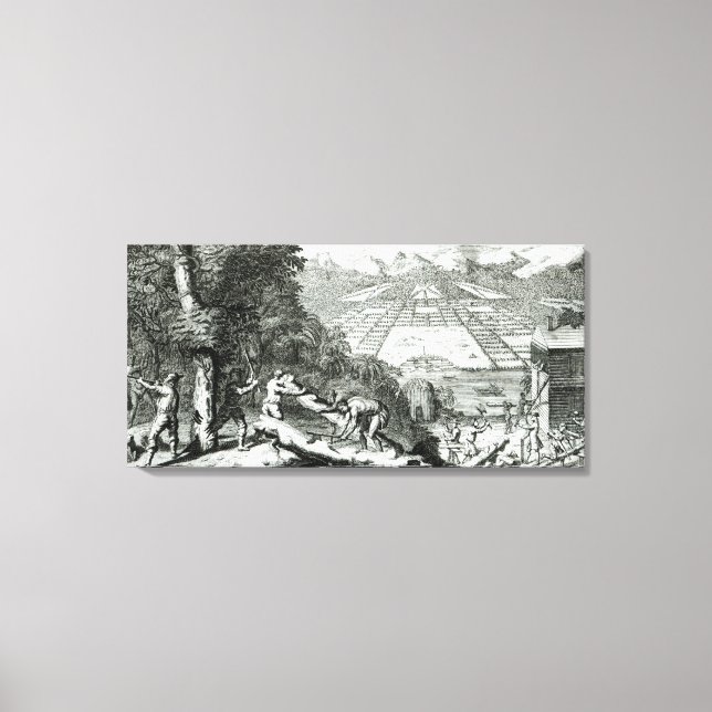 Impressão Em Tela As Razões para a criação da Colônia de (Frente)