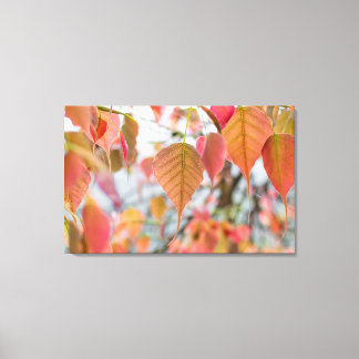 Impressão Em Tela Asathu Plant Baby Sai Carregando Buda