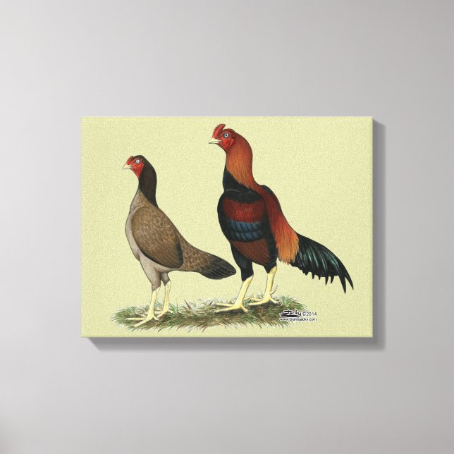 Impressão Em Tela Aseel Wheaten Chickens (Frente)