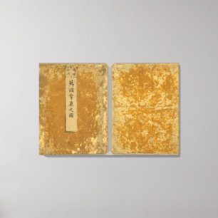 Impressão Em Tela Ásia 46