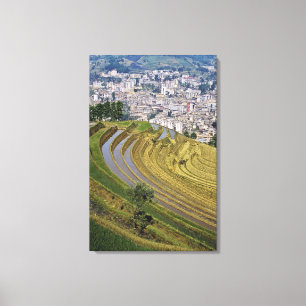 Impressão Em Tela Ásia, China, Província de Yunnan, Jinping. Jinpi