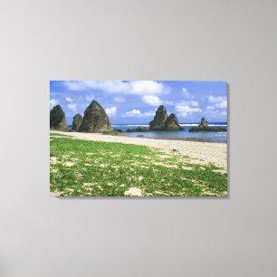 Impressão Em Tela Ásia, Japão, Okinawa, Costa de Yambaru, Mar