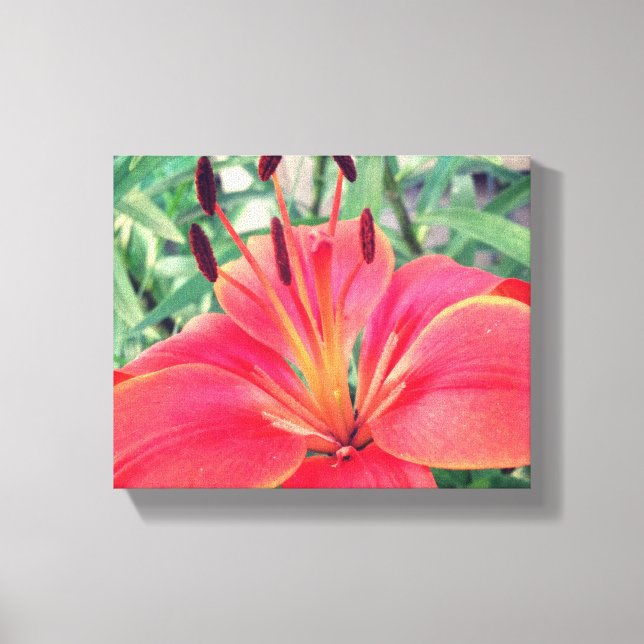 Impressão Em Tela Asiatic Lily (Frente)