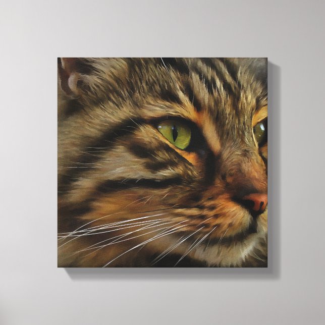 Impressão Em Tela Aslan, O Gato Do Tabby De Cabelo Longo (Frente)