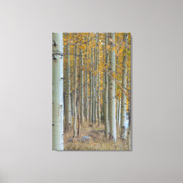 Impressão Em Tela Aspen Grove no outono