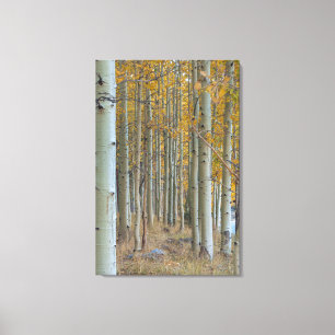 Impressão Em Tela Aspen Grove no outono