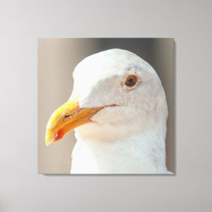 Impressão Em Tela Atenção