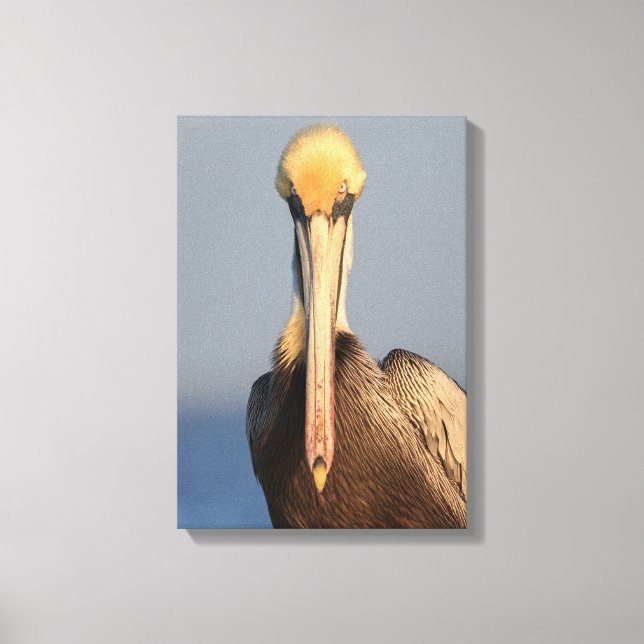 Impressão Em Tela Atitude Pelicana (Frente)