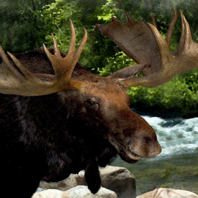 IMPRESSÃO EM TELA "ATUALIZAÇÃO DE MOOSE NA BORDA DOS RIOS" (Criador carregado)