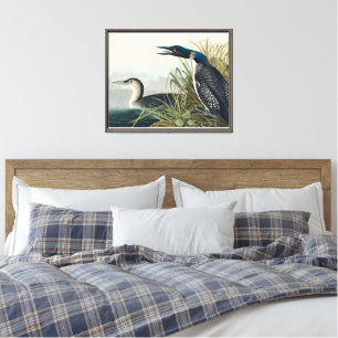 Impressão Em Tela Audubon Bird Loon Diver Classic