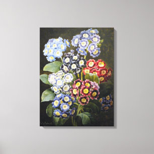 Impressão Em Tela Aurículas florais botânicas da arte da aguarela 