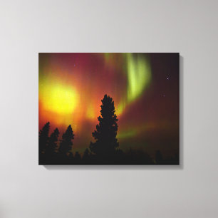 Impressão Em Tela Aurora Boreal e Árvores