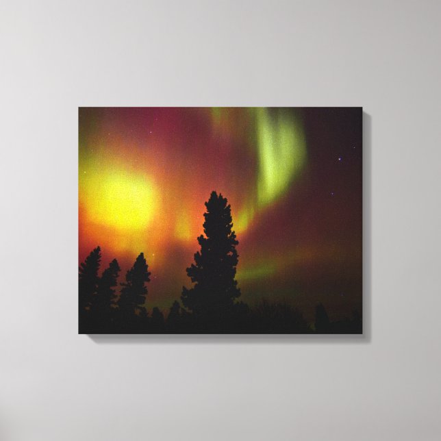 Impressão Em Tela Aurora Boreal e Árvores (Frente)