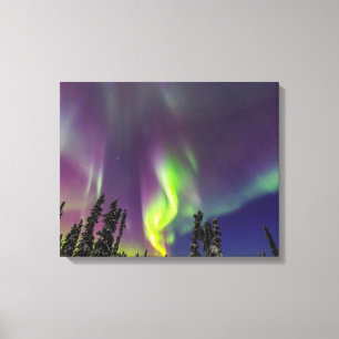 Impressão Em Tela Aurora Boreal Fairbanks, Alasca