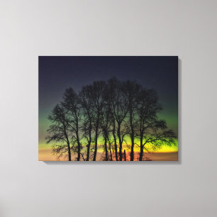 Impressão Em Tela Aurora Boreal Manitoba Canadá Grande Pointe