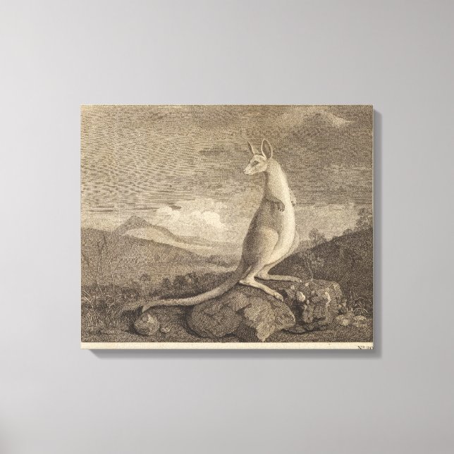 Impressão Em Tela Austrália (Frente)