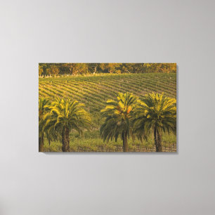 Impressão Em Tela Austrália, Austrália Meridional, Vale do Barossa,