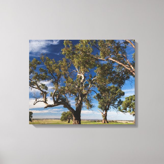 Impressão Em Tela Austrália, Barossa Valley, Mount Pleasant (Frente)