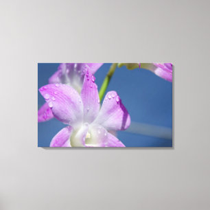 Impressão Em Tela Austrália, Território Norte, Darwin