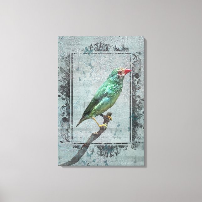 Impressão Em Tela Australiano Star Finch sobre Música (Frente)