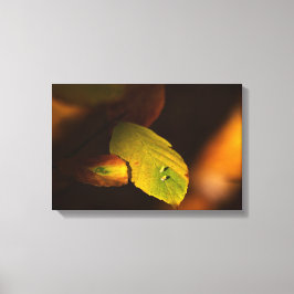 Impressão Em Tela Autumelo