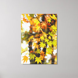 Impressão Em Tela Autumn Leaves [Canvas Print]